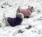 Teun en Steffie lekker in de sneeuw
